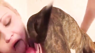 Zoo horse porn: big zoophilia porno