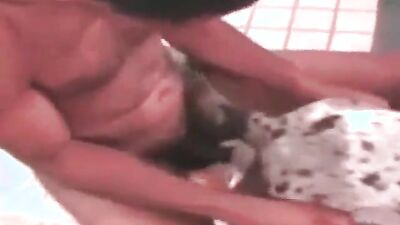 Porn bestiality: asian bestiality porn