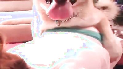 Dog girl 1: chinese zoo porn
