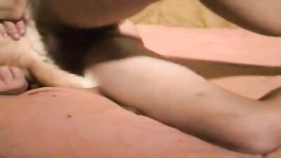 Dog sex porn: bestiality porn animations