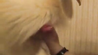 Zoo porn: porno cartoon bestiality