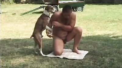 Dog fuck girl: dog fucking young girl
