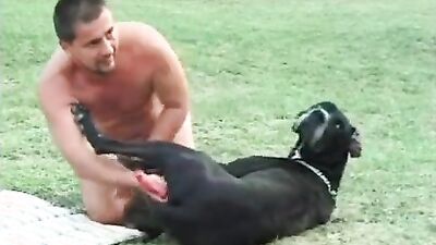 Dog fuck girl: dog fucking young girl