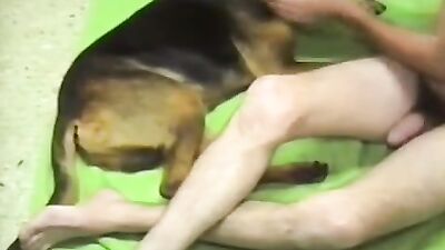 Dog pussy girls: zoo porn nd russian