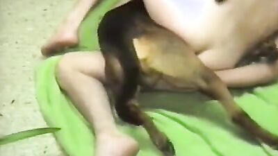 Dog pussy girls: zoo porn nd russian