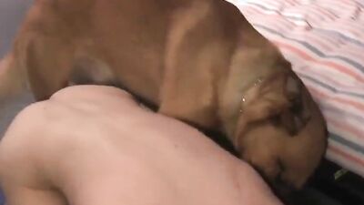 Boy girl dog: dog sex hentai video