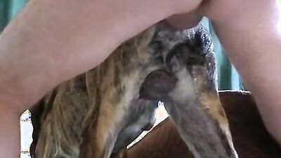 Dog sex girl: zoo sex źwotniy