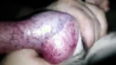 Dog porn video: dog porn 4