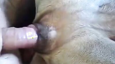 Zoo porn compilation: girl try fuck dog
