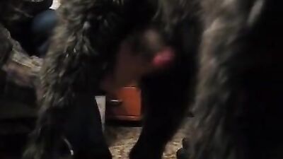 Girls 5 dogs: park dog animation porn