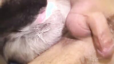 Zoo fuck porn: porno bestiality omegle