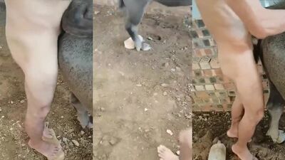 Dog fucking girl: amateur dog sex