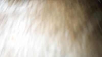 Dog fucking girl: sonya zoo sex