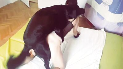 Dog porn video: bestiality porn men