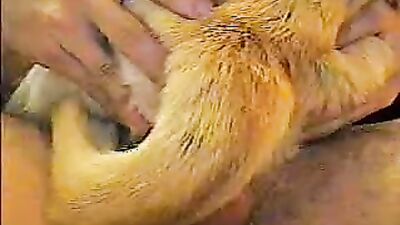 Zoo sex porno: bbw zoo porn