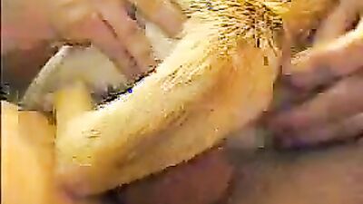 Zoo sex porno: bbw zoo porn