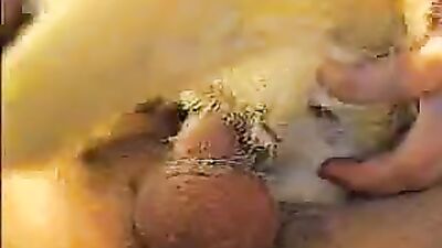 Zoo sex porno: bbw zoo porn