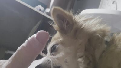 Dog girl: sonya zoo porn laxure tv see