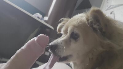 Dog girl: sonya zoo porn laxure tv see