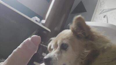 Dog girl: sonya zoo porn laxure tv see