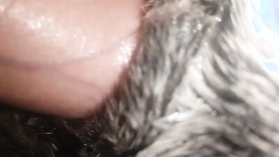 Art of zoo porn: porn zoo dog animation