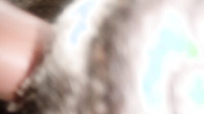 Art of zoo porn: porn zoo dog animation