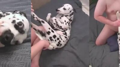 Bestiality porno: animals porno compilation