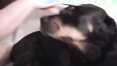 Fucking dogging porn: porn gay dog knot