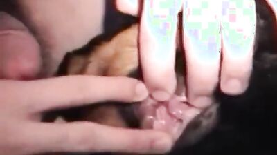 Fucking dogging porn: porn gay dog knot