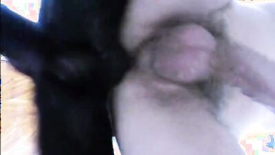 Zoophilia video: anımal porno