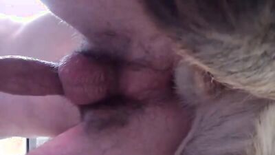 Girl having dog: dogs 18 sex comix