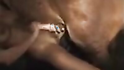 Bestiality sex: home bestiality porno