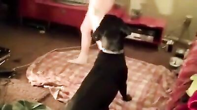 Bestiality zoo: zoo sex cam