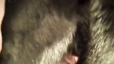 Bestiality zoo: zoo sex cam
