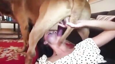 Dog fuck porn: dog fuck russian girl