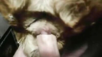 Art of zoo: horny dog girl