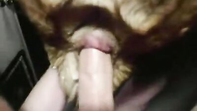Art of zoo: horny dog girl
