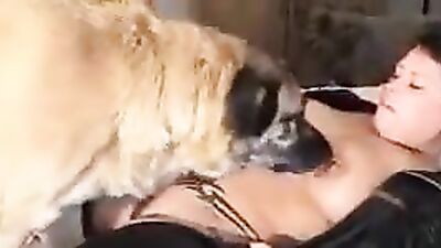 Animal sex porn: zoo aktive porn