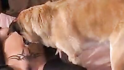 Animal sex porn: zoo aktive porn
