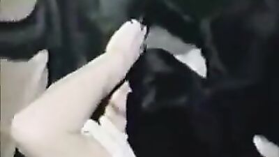 Animal sex: bestiality tiktok