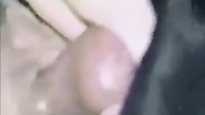 Animal sex: bestiality tiktok