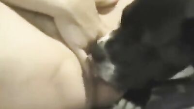 Best dog girl: dog whore s bestiality