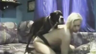Best dog girl: dog whore s bestiality
