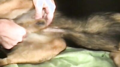 Zoo sex video: tries dog sex