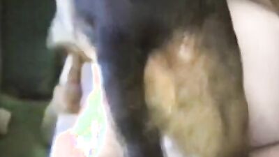 Zoo sex video: tries dog sex