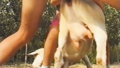 Zoo porn video: dog r34 porn 3d