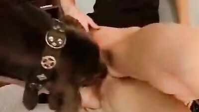 Dog fuck girl: porno hub animal