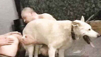 Women's dog sex: dog fuck girls xxx
