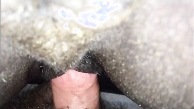 Bestiality sex id: dog whore s bestiality