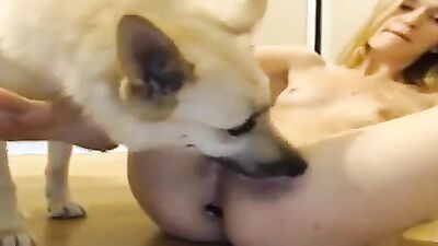 Dog teen girls: zoo sex porn golfing